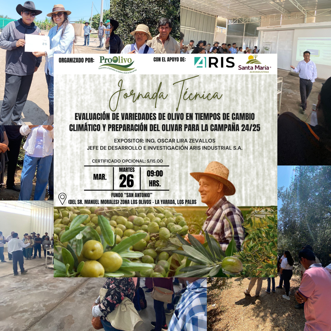 Jornada Técnica: “Evaluación de variedades de olivo en tiempos de cambio climático y preparación del olivar para la campaña 24/25”